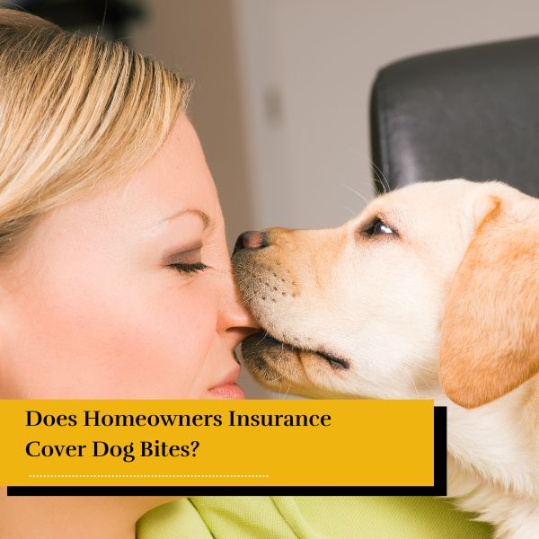dog and homeowner