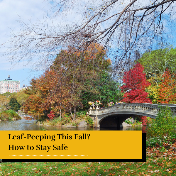 Autumn in New York - Leed peeping this fall? How to stay safe
